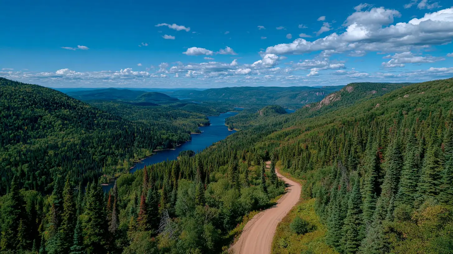 Les Chantiers du Lac - Services forestiers professionnels Québec