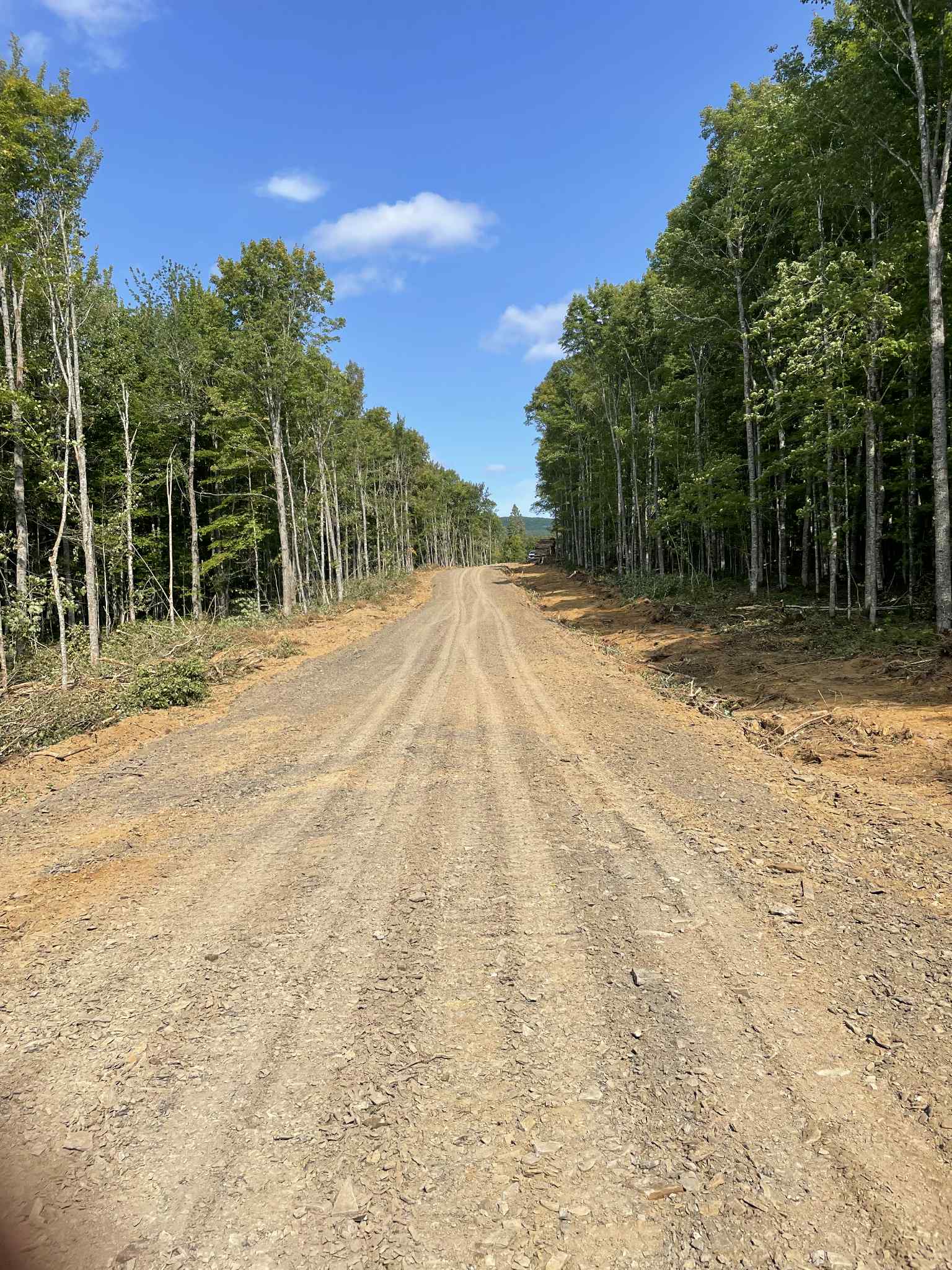 Projet en cours - Chemins forestiers
